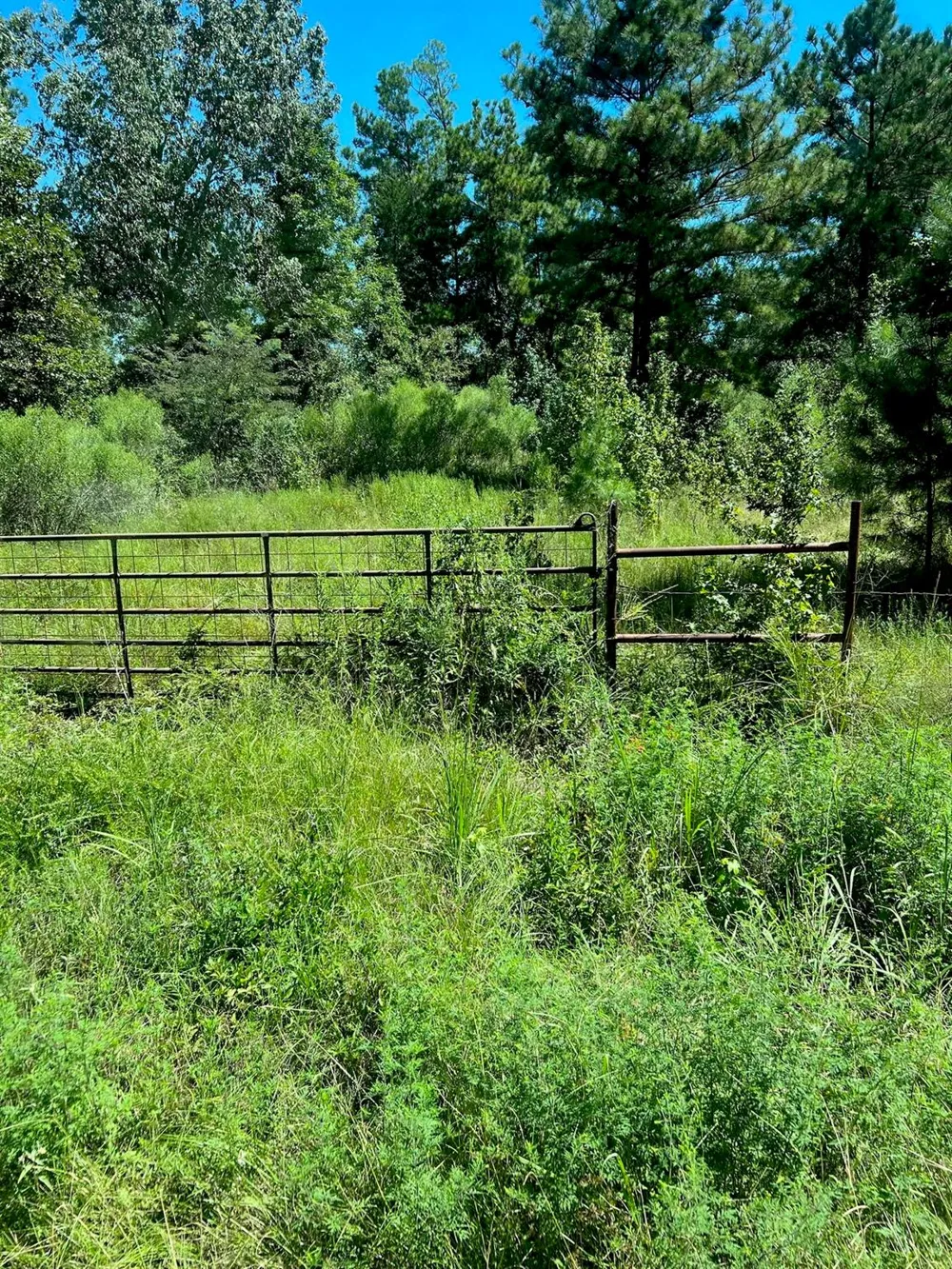 Eddington Road Marshall, TX 75642
