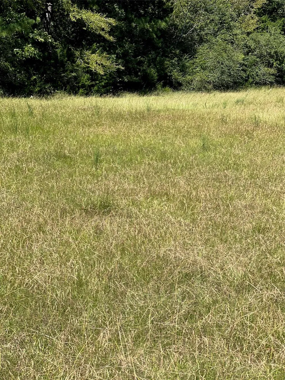 Eddington Road Marshall, TX 75642
