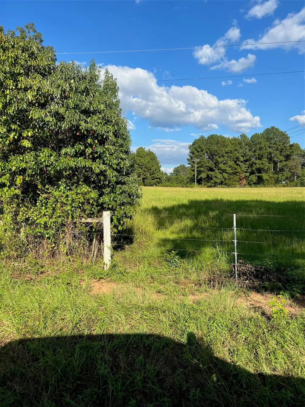 Eddington Road Marshall, TX 75642