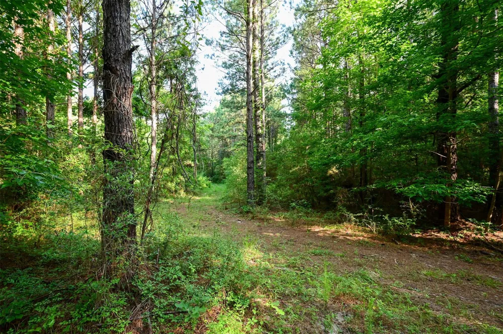 Co Road 2150 Woodville, TX 75979