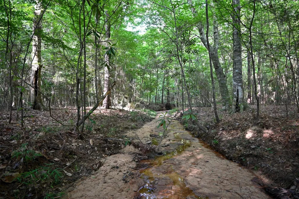 Co Road 2150 Woodville, TX 75979