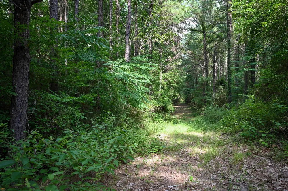 Co Road 2150 Woodville, TX 75979