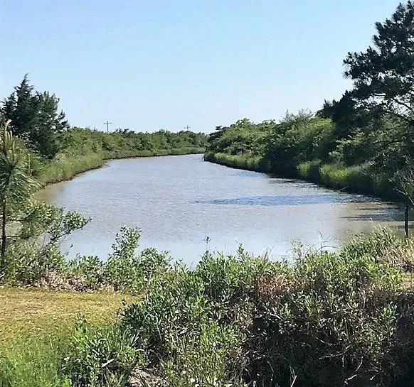 Flamingo Drive Smith Point, TX 77514