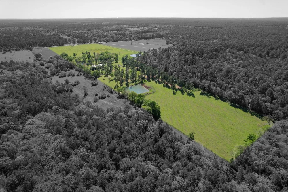 20277 Fm 1791 Richards, TX 77873