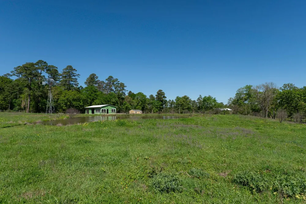 20277 Fm 1791 Richards, TX 77873