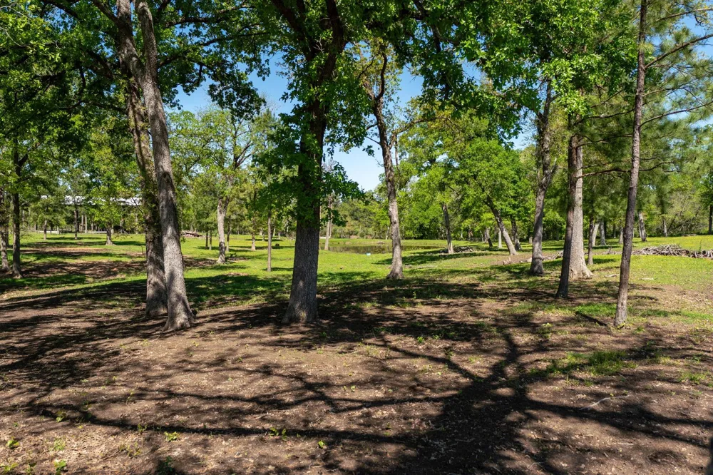 20277 Fm 1791 Richards, TX 77873