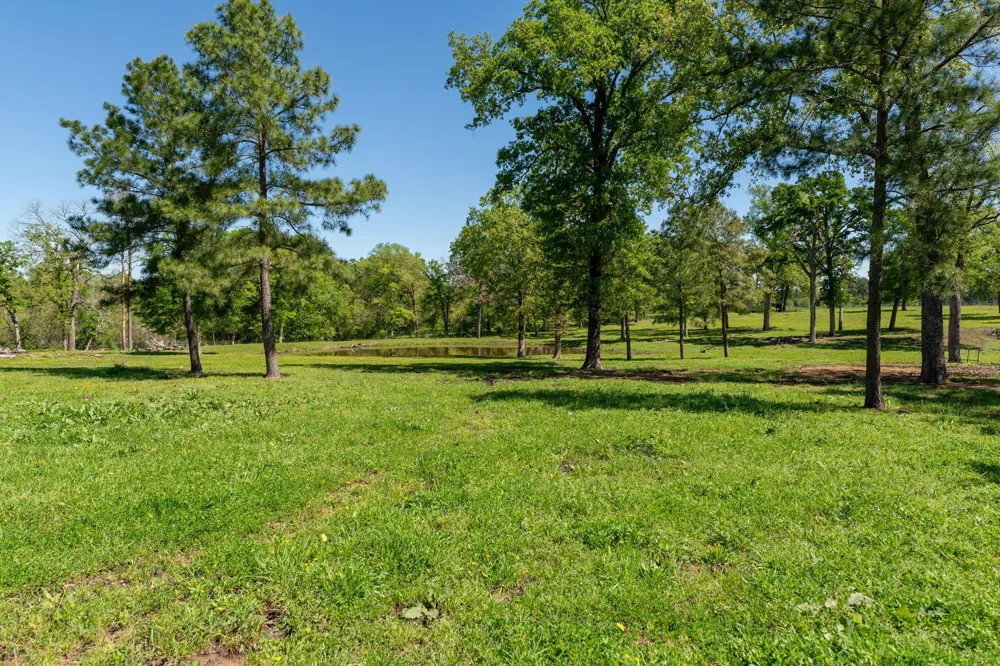 20277 Fm 1791 Richards, TX 77873