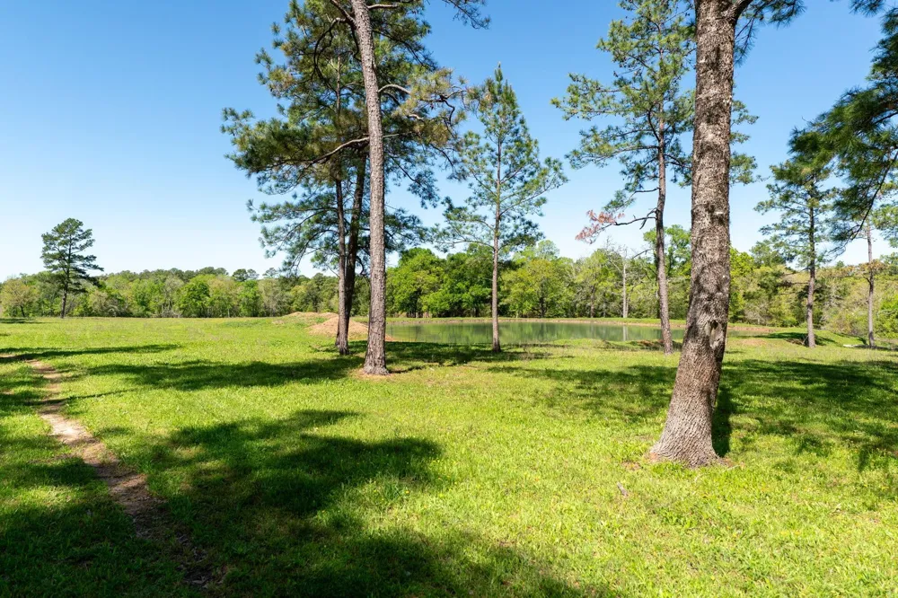 20277 Fm 1791 Richards, TX 77873