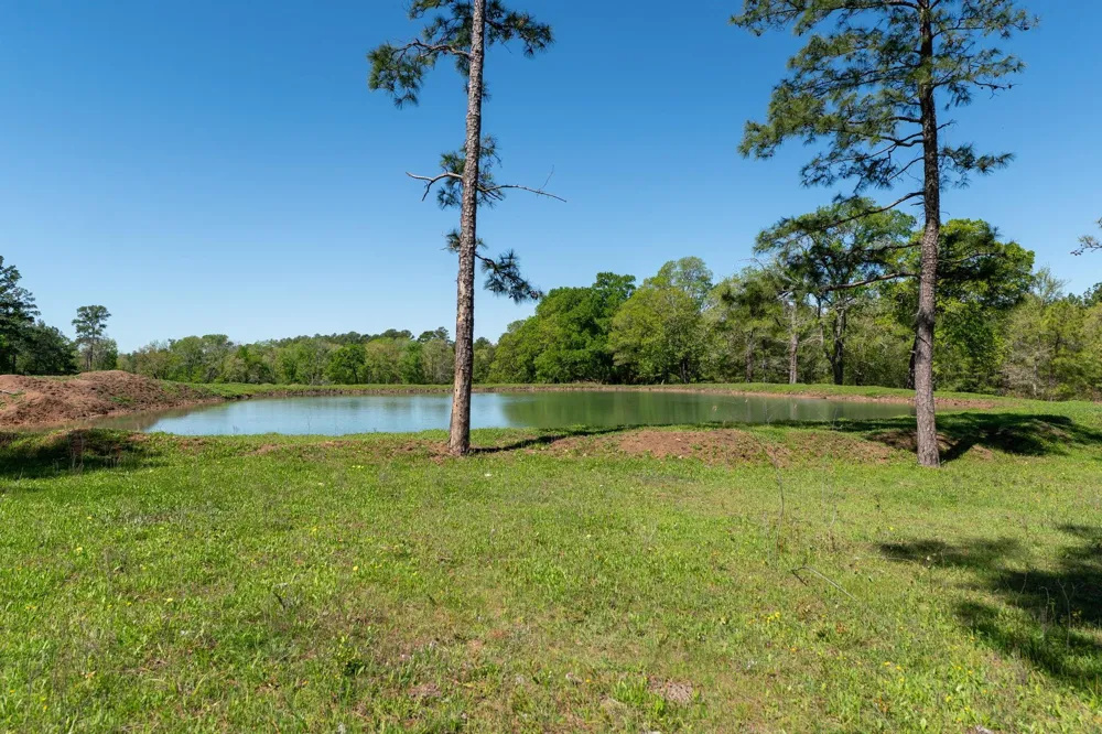 20277 Fm 1791 Richards, TX 77873