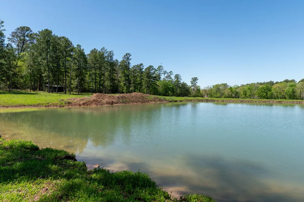 20277 Fm 1791 Richards, TX 77873
