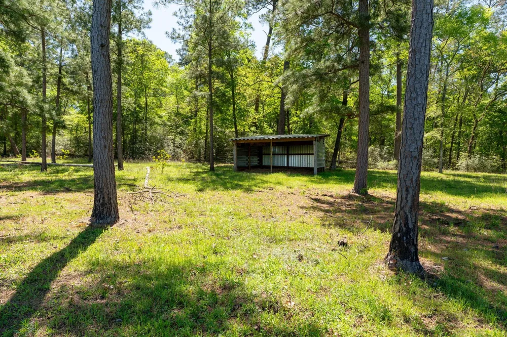 20277 Fm 1791 Richards, TX 77873