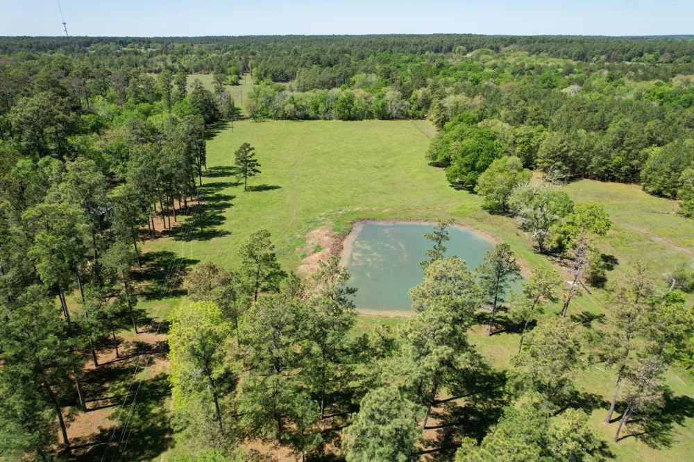 20277 Fm 1791 Richards, TX 77873