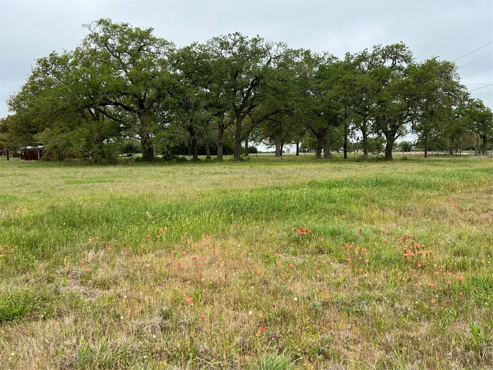153 Pvt 1671 Hallettsville, TX 77964