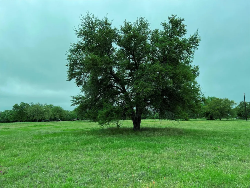 3 Pvt 1671 Hallettsville, TX 77964