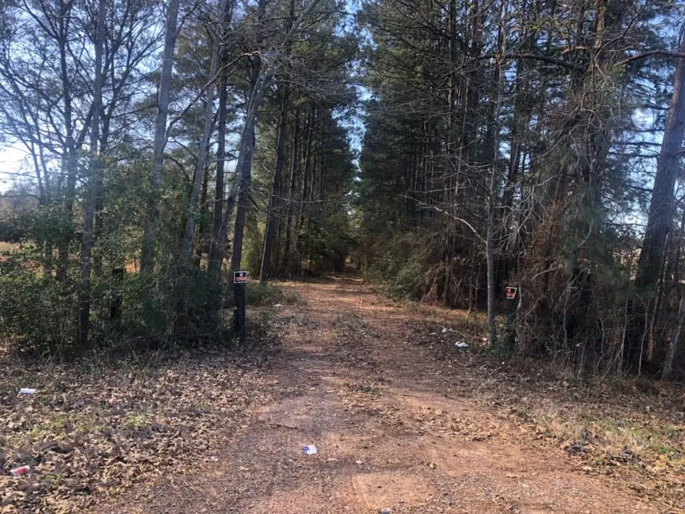 Hwy 59 N Shepherd, TX 77371