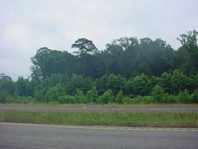 Hwy 59 N Shepherd, TX 77371