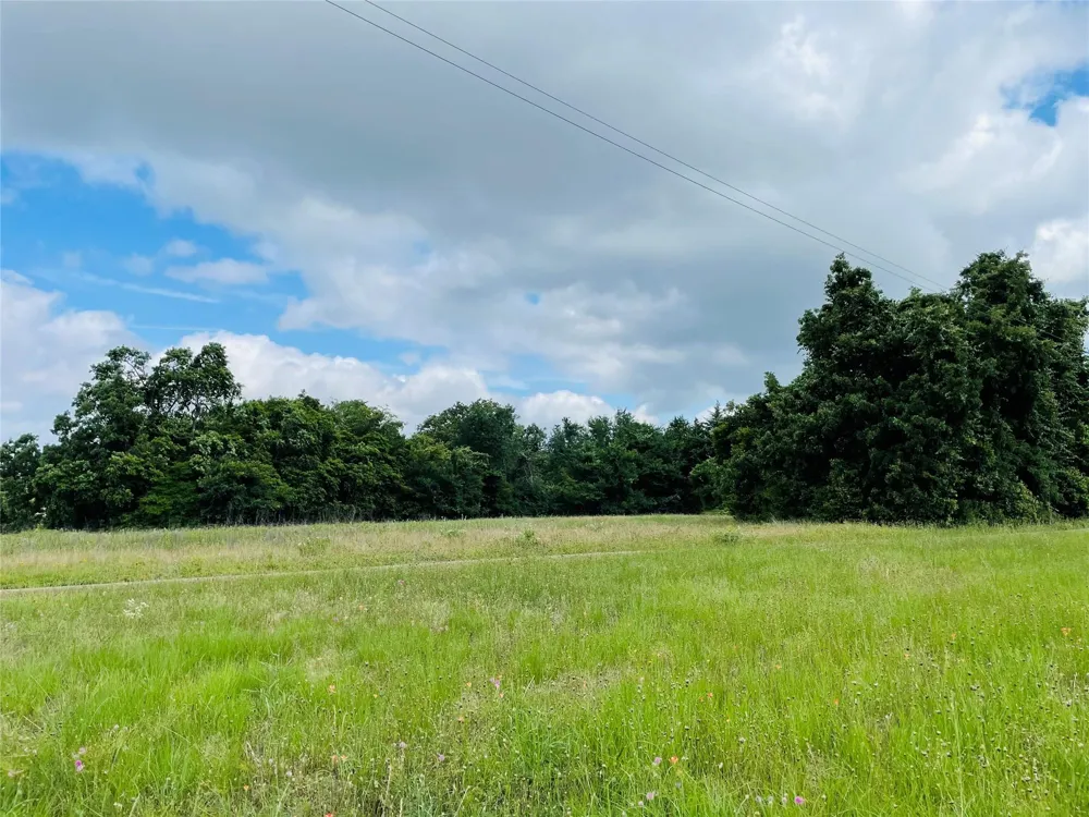 1 Hill Street Buffalo, TX 75831
