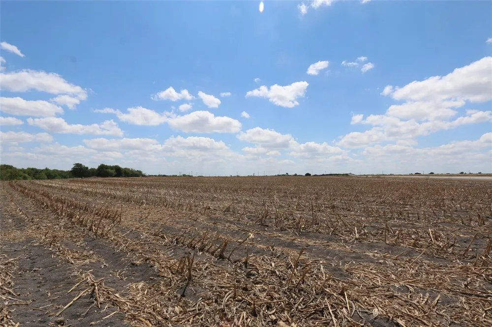 Cr 119 Hutto, TX 78634