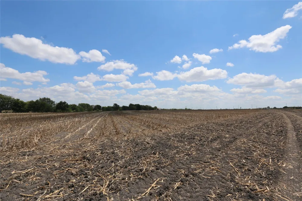 Cr 119 Hutto, TX 78634