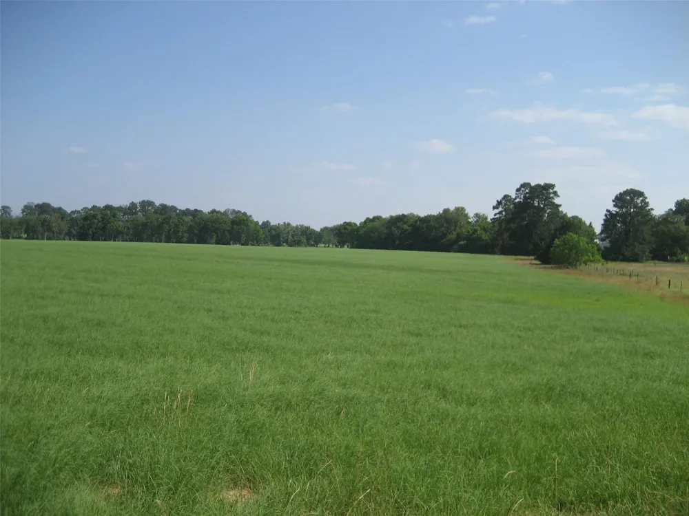 Cr 1890 Grapeland, TX 75844