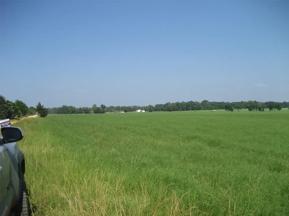 Cr 1890 Grapeland, TX 75844
