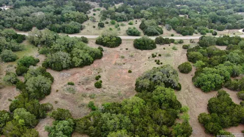 235 Pin Oak Trail