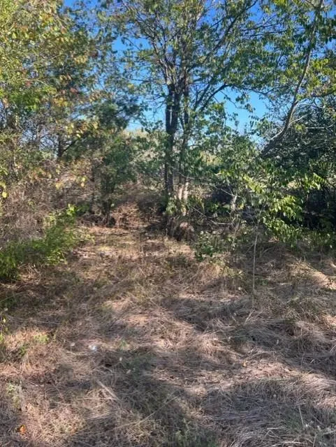 Fm 71 East Talco, TX 75487