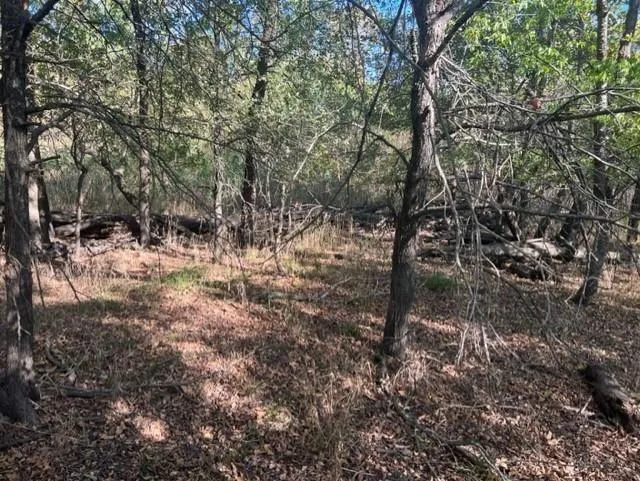 Fm 71 East Talco, TX 75487