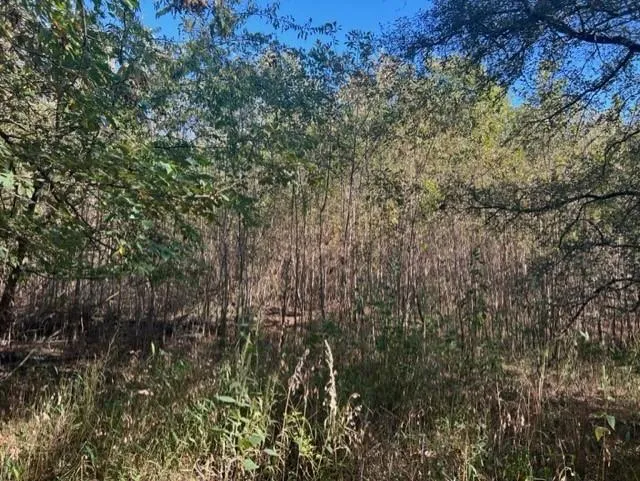 Fm 71 East Talco, TX 75487