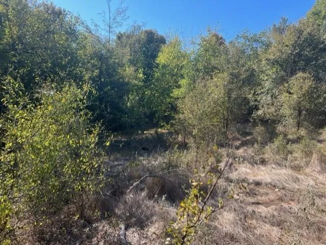 Fm 71 East Talco, TX 75487