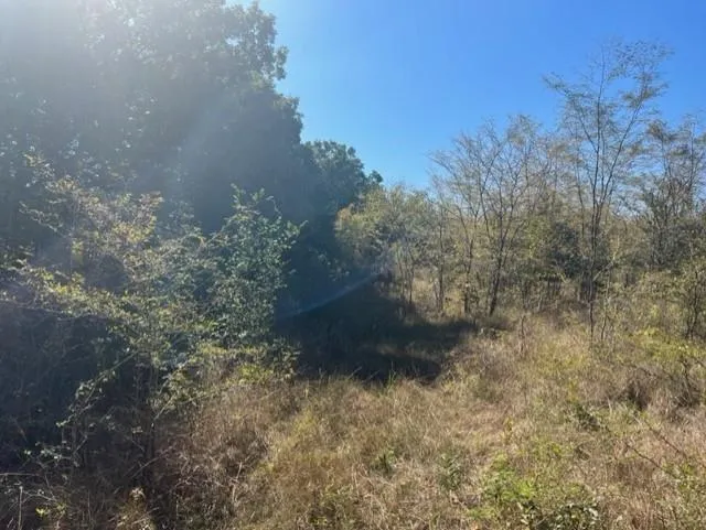 Fm 71 East Talco, TX 75487