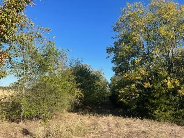 Fm 71 East Talco, TX 75487