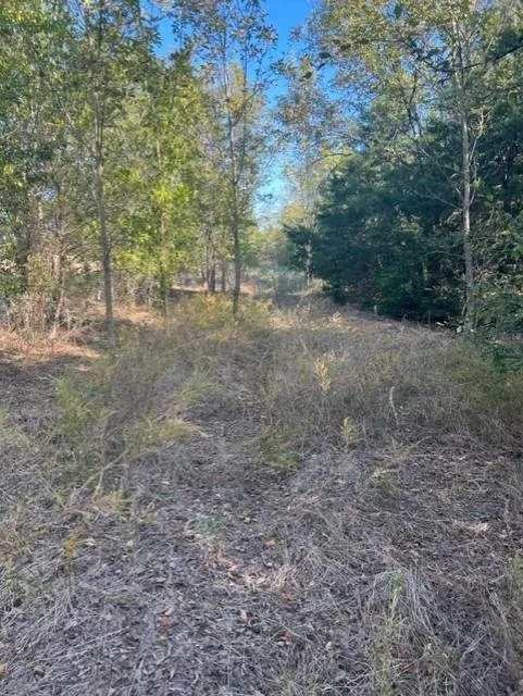 Fm 71 East Talco, TX 75487