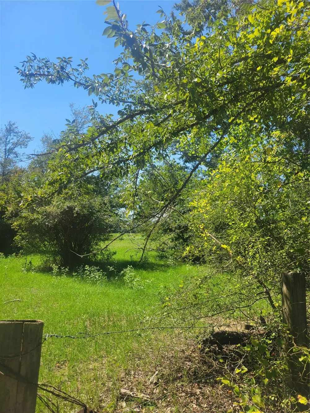 1 Navarro Lane Grapeland, TX 75855