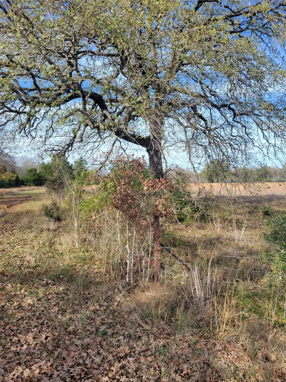 2 Navarro Lane Grapeland, TX 75855