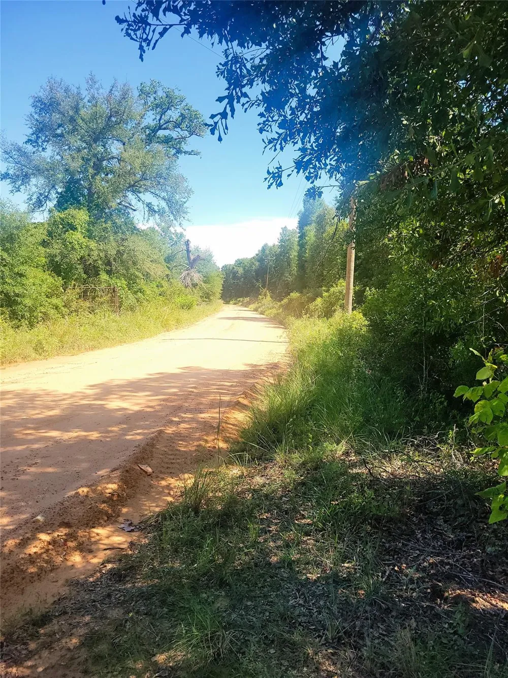 2 Navarro Lane Grapeland, TX 75855