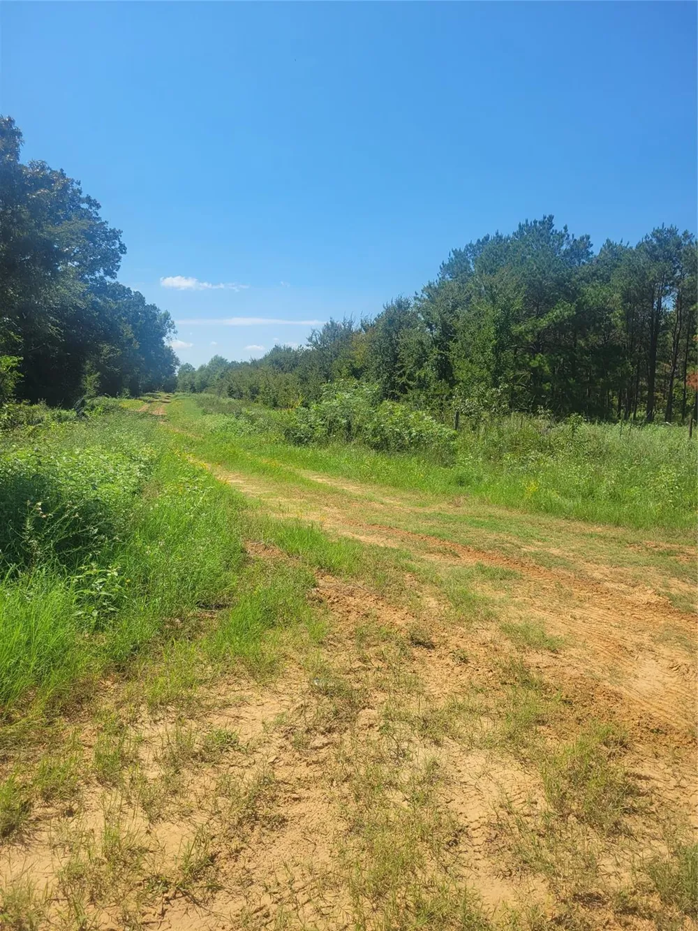 2 Navarro Lane Grapeland, TX 75855