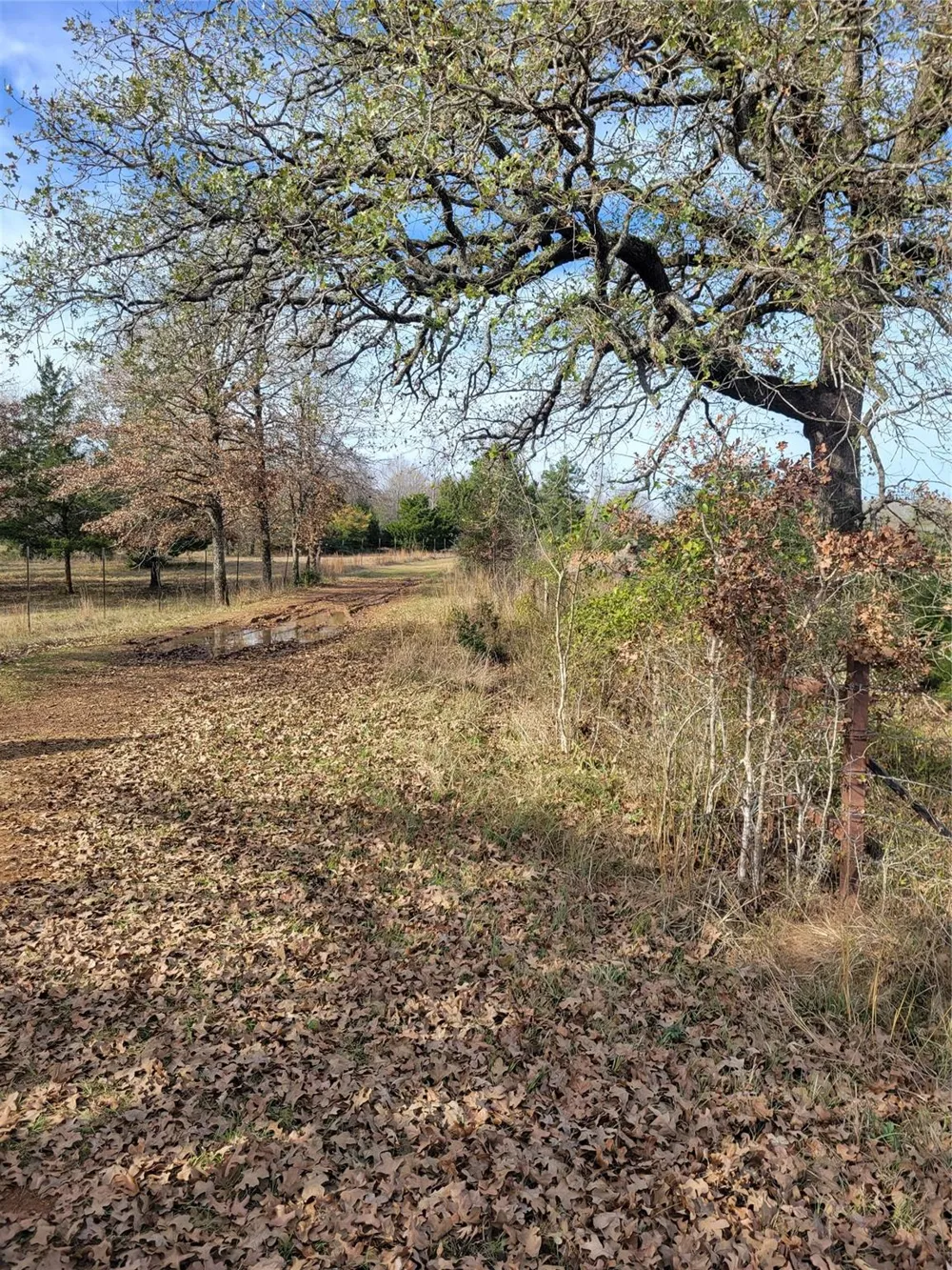2 Navarro Lane Grapeland, TX 75855