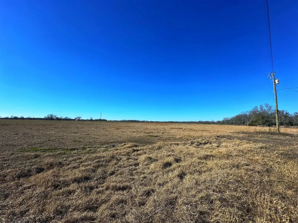 2 Cr 231 Centerville, TX 75833