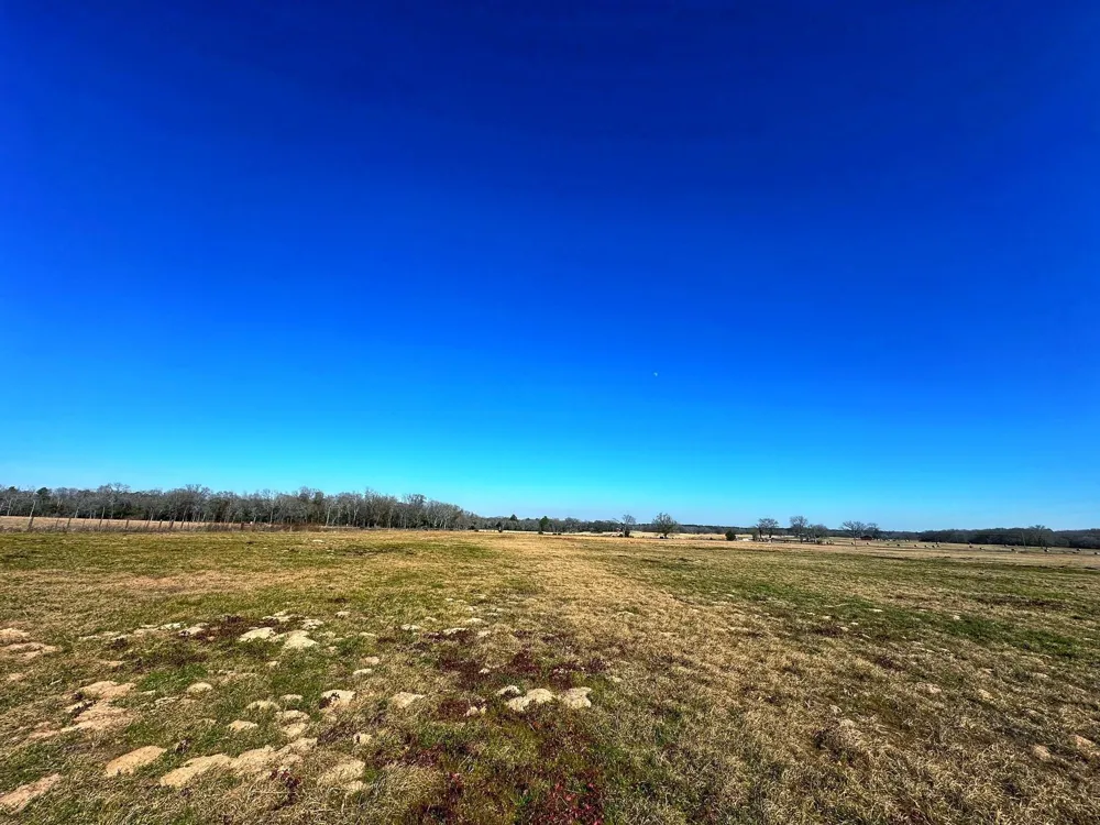 2 Cr 231 Centerville, TX 75833