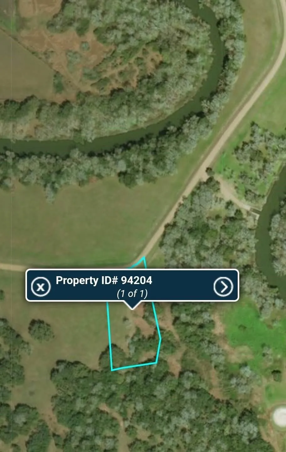 90 River Tree Drive Blessing, TX 77419