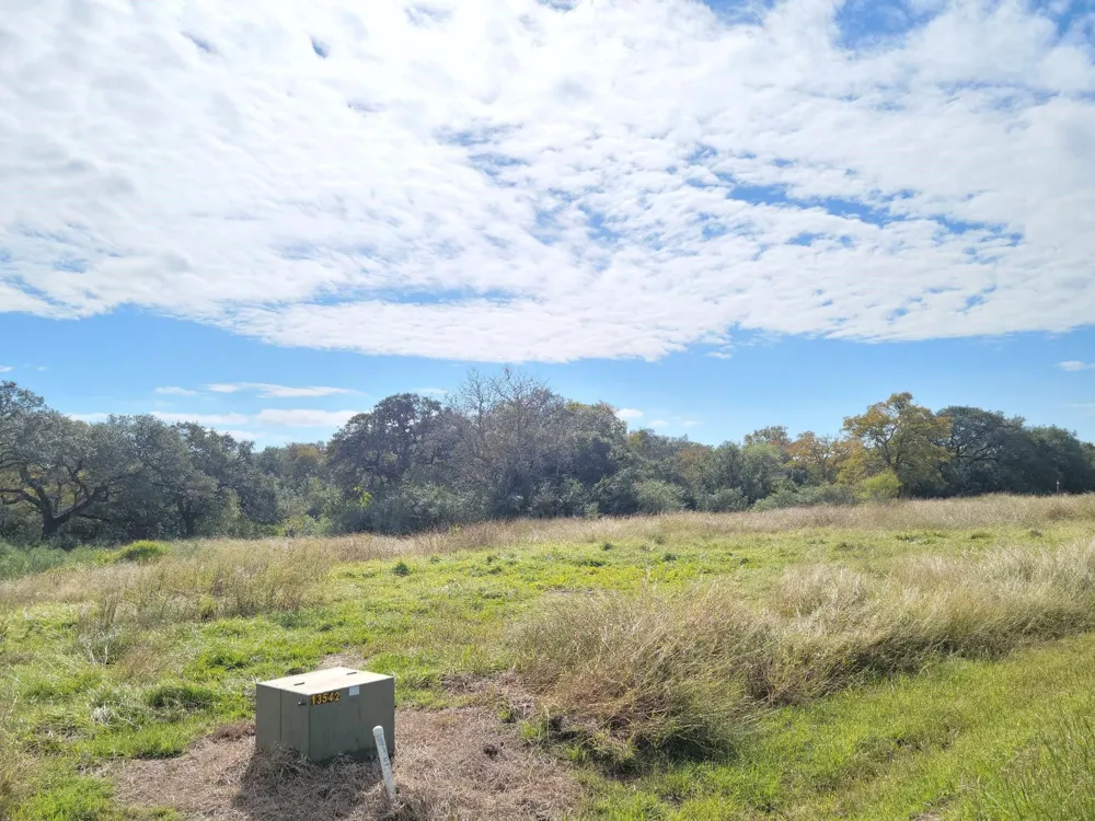 90 River Tree Drive Blessing, TX 77419