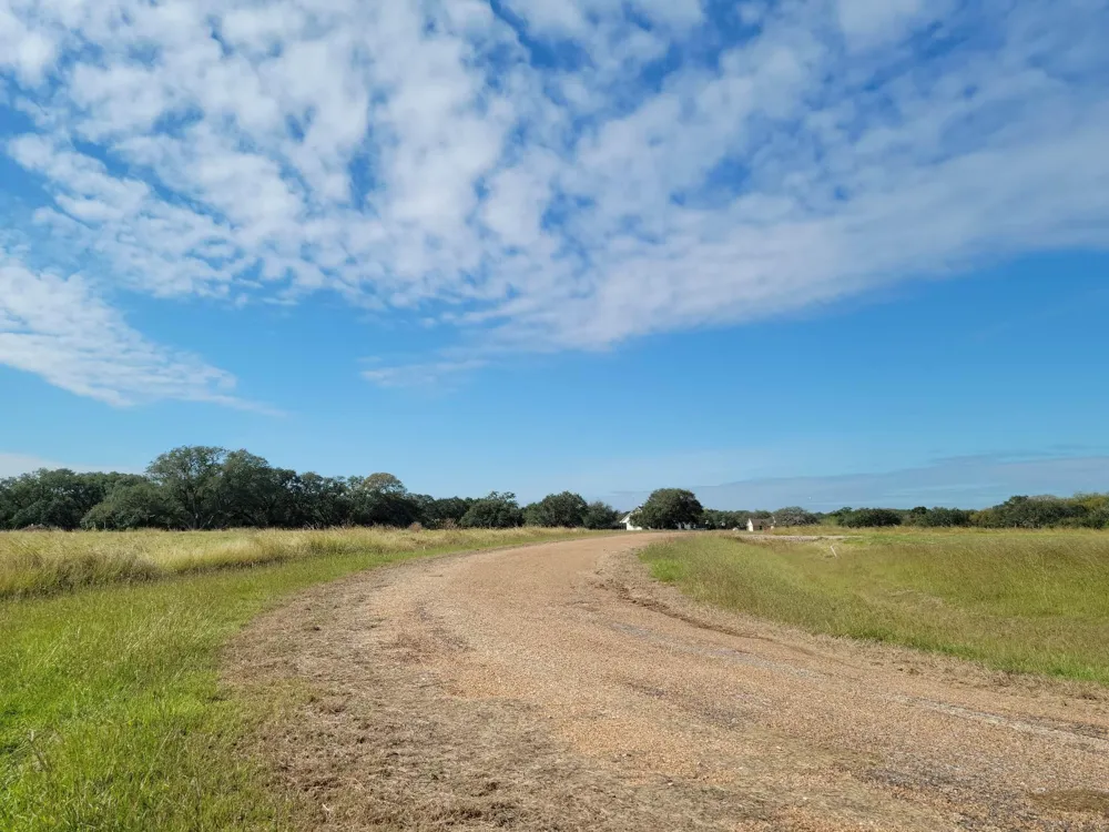 90 River Tree Drive Blessing, TX 77419