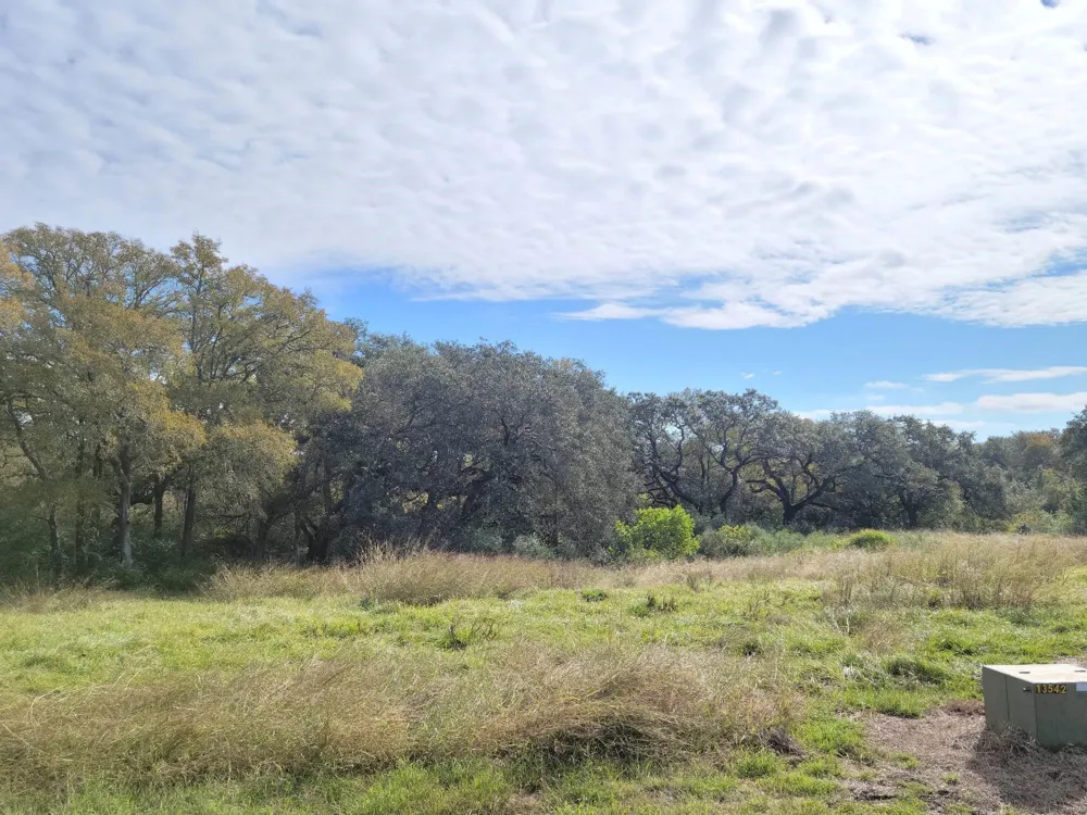 90 River Tree Drive Blessing, TX 77419
