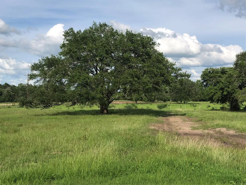 154 Pvt 1671 Hallettsville, TX 77964