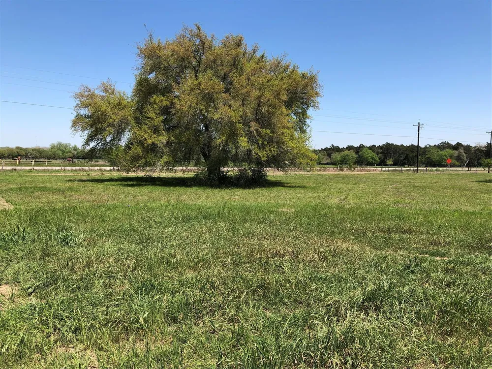 154 Pvt 1671 Hallettsville, TX 77964
