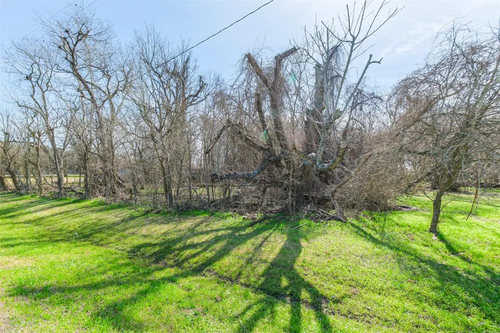 35143 Fm 1093 Simonton, TX 77476