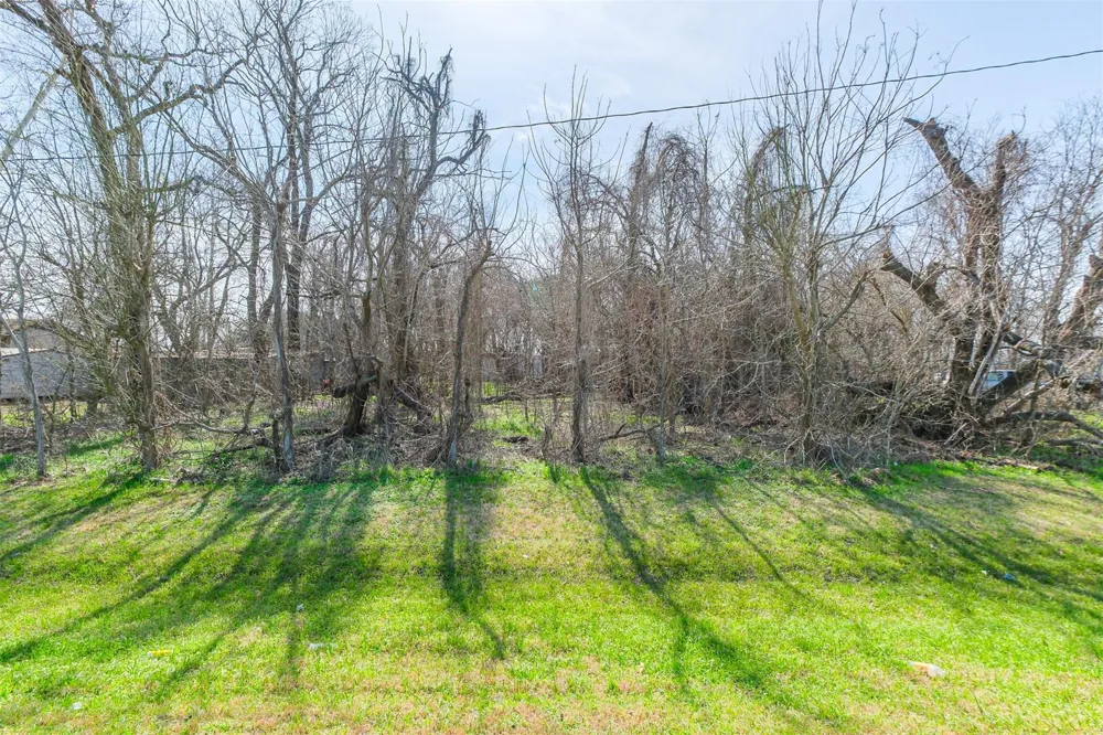 35143 Fm 1093 Simonton, TX 77476