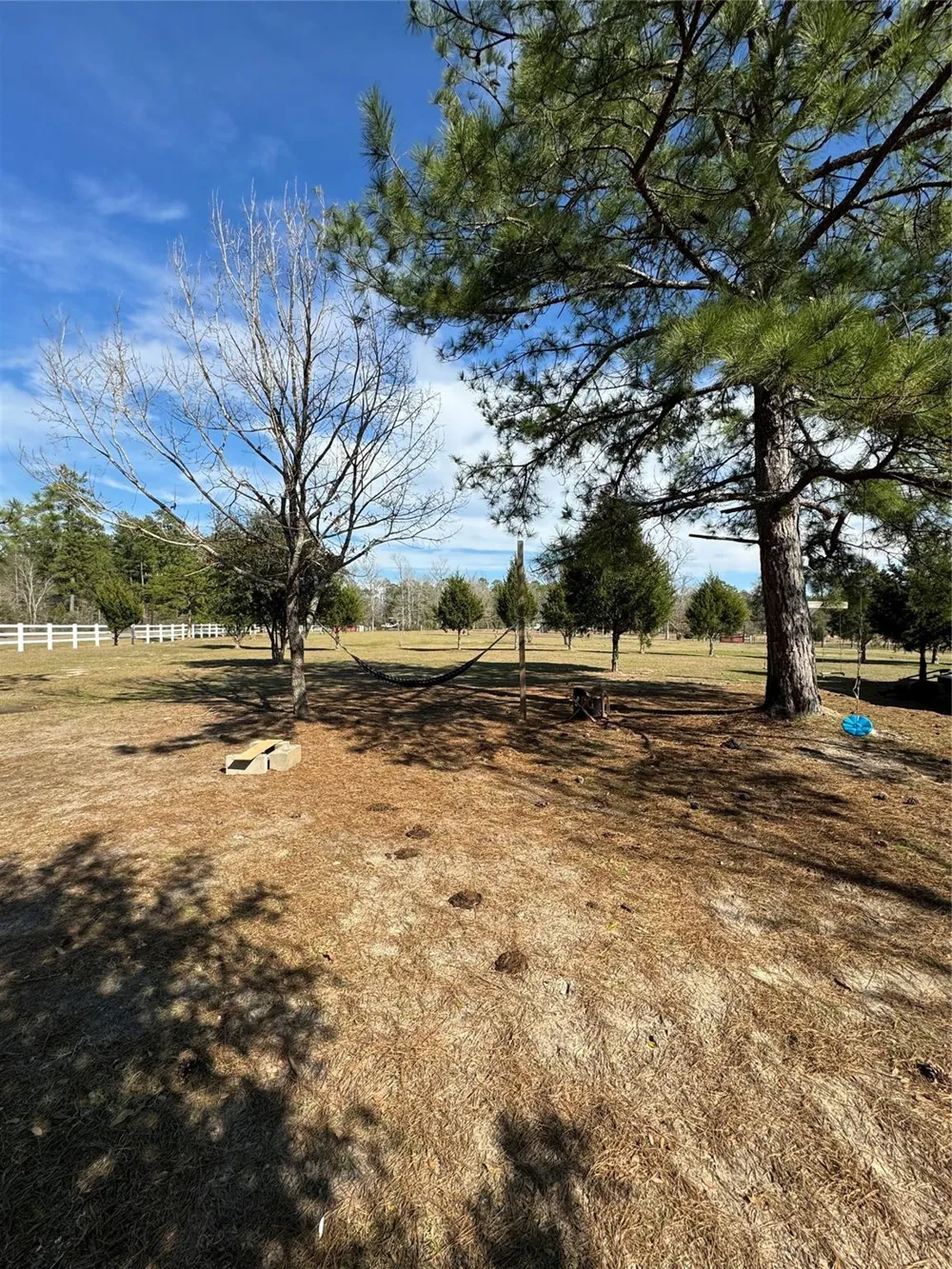 3660 Fm 1013 Road Hillister, TX 77624