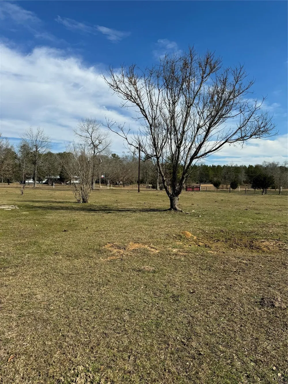 3660 Fm 1013 Road Hillister, TX 77624